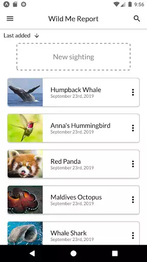 Play Wild Me Scout  and enjoy Wild Me Scout with UptoPlay