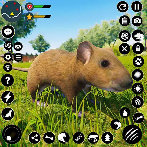 Play Wild Mouse Family Sim 3D APK