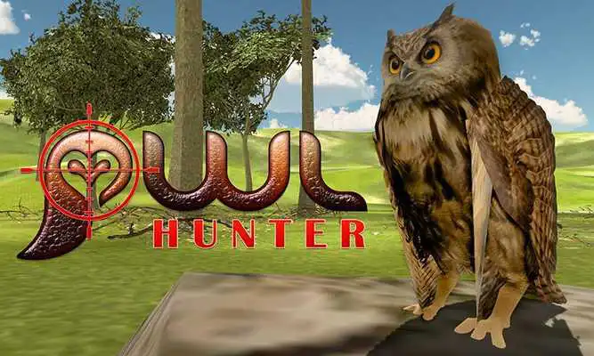 Play Wild Owl Hunter Simulator