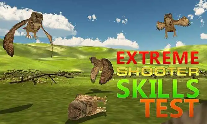 Play Wild Owl Hunter Simulator