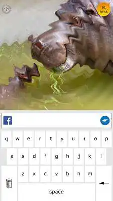 Play Wild Quiz