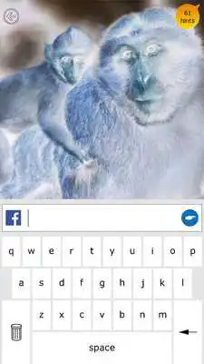 Play Wild Quiz