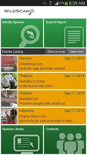 Play WildScan  and enjoy WildScan with UptoPlay