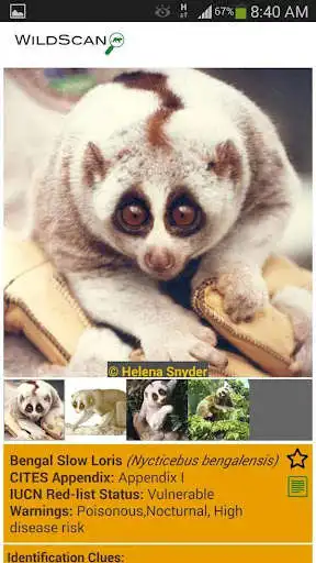Play WildScan as an online game WildScan with UptoPlay