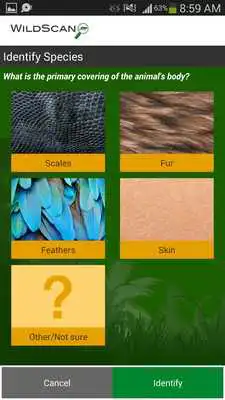 Play WildScan