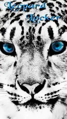 Play wild snow leopard theme Play wild snow leopard theme
