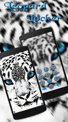 Play wild snow leopard theme Play wild snow leopard theme
