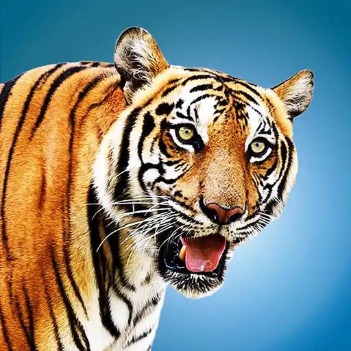 Play Wild Tiger Hunting Animal Life APK