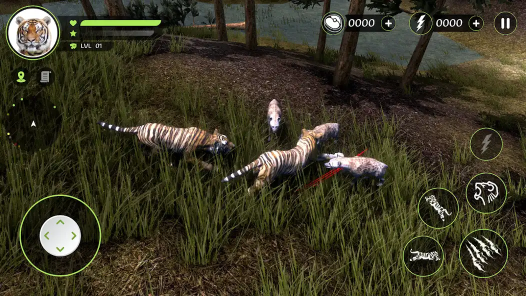 Play Wild Tiger Hunting Animal Life and enjoy Wild Tiger Hunting Animal Life with UptoPlay Play Wild Tiger Hunting Animal Life and enjoy Wild Tiger Hunting Animal Life with UptoPlay