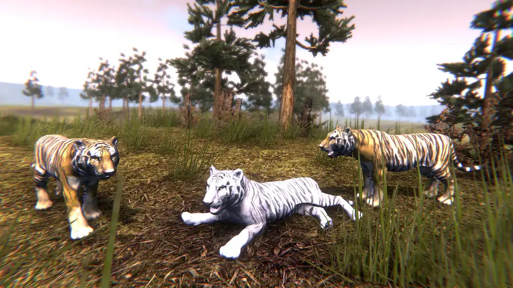 Play Wild Tiger Hunting Animal Life as an online game online Wild Tiger Hunting Animal Life with UptoPlay Play Wild Tiger Hunting Animal Life as an online game Wild Tiger Hunting Animal Life with UptoPlay