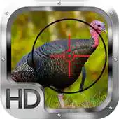 Free play online Wild Turkey Hunting Gold Pro APK Free play online Wild Turkey Hunting Gold Pro APK