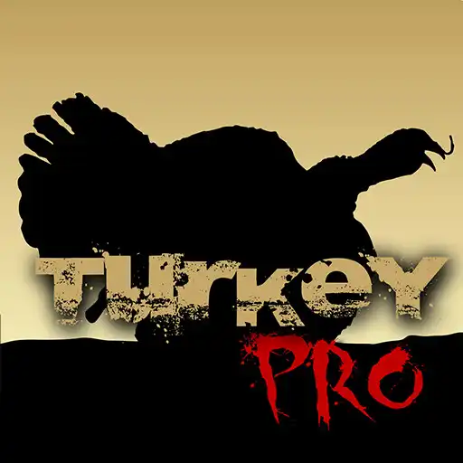 Play Wild Turkey Pro APK