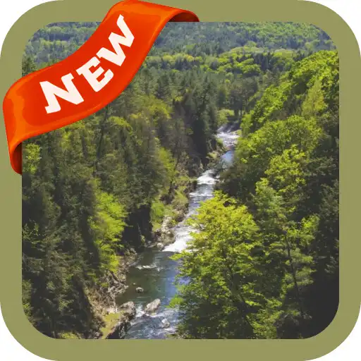 Play Wild Wallpaper APK Play Wild Wallpaper APK