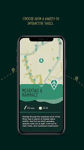 Play Wild Wander  and enjoy Wild Wander with UptoPlay