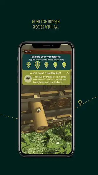 Play Wild Wander as an online game Wild Wander with UptoPlay