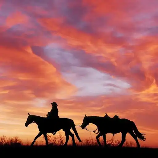 Play Wild West Wallpaper APK