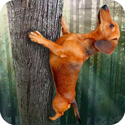 Play Wild Wiener! APK