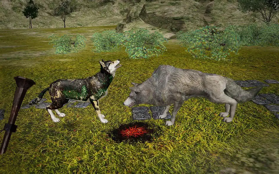 Play Wild Wolf Fighting Simulator as an online game Wild Wolf Fighting Simulator with UptoPlay