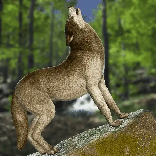 Play Wild Wolf Simulator Wolf Craft APK Play Wild Wolf Simulator Wolf Craft APK