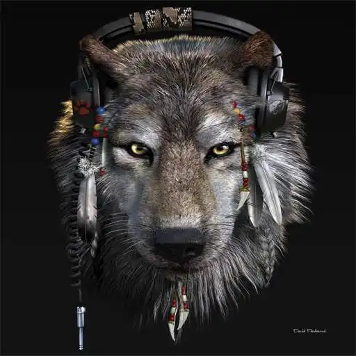 Play Wild Wolf Wallpaper 4K APK Play Wild Wolf Wallpaper 4K APK