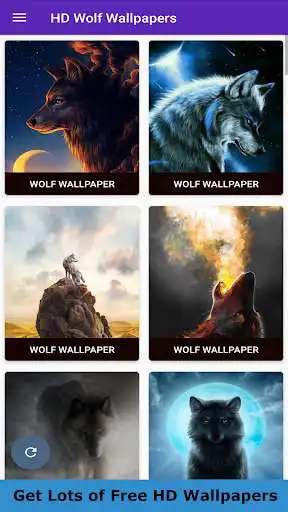 Play Wild Wolf Wallpaper 4K  and enjoy Wild Wolf Wallpaper 4K with UptoPlay