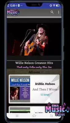 Play Willie Nelson