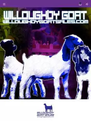 Play Willoughby