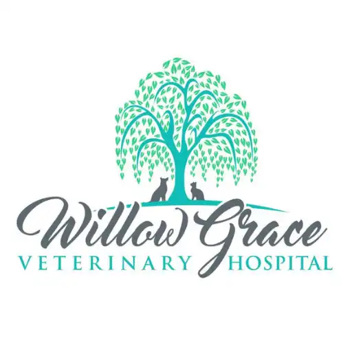 Play Willow Grace Vet Hospital APK
