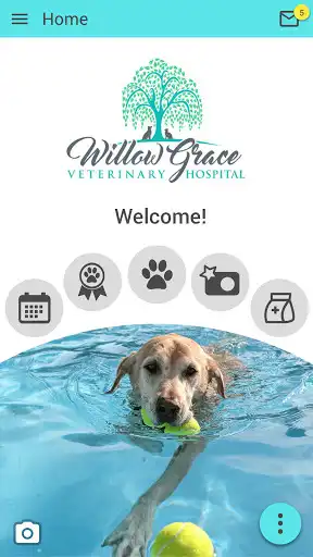 Play Willow Grace Vet Hospital  and enjoy Willow Grace Vet Hospital with UptoPlay