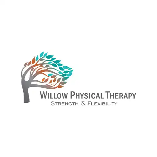 Play Willow Physical Therapy APK