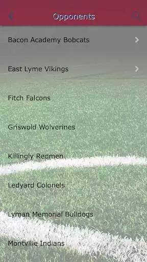 Play Windham Whippets Athletics