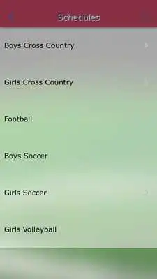 Play Windham Whippets Athletics