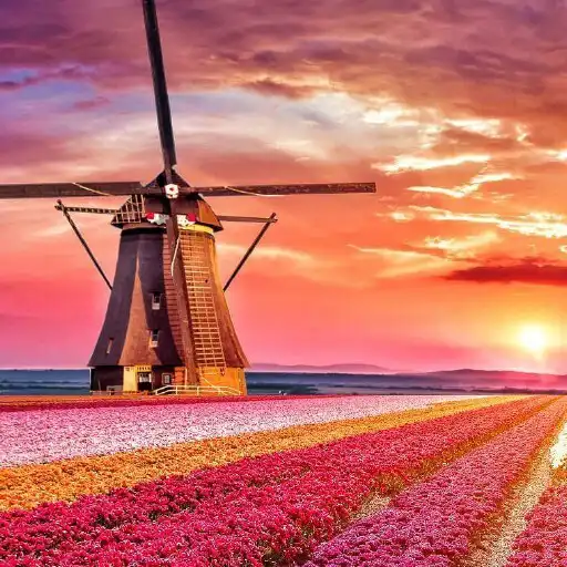 Play Windmills in Holland APK