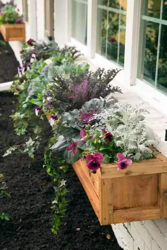 Play Window Planter Box Ideas