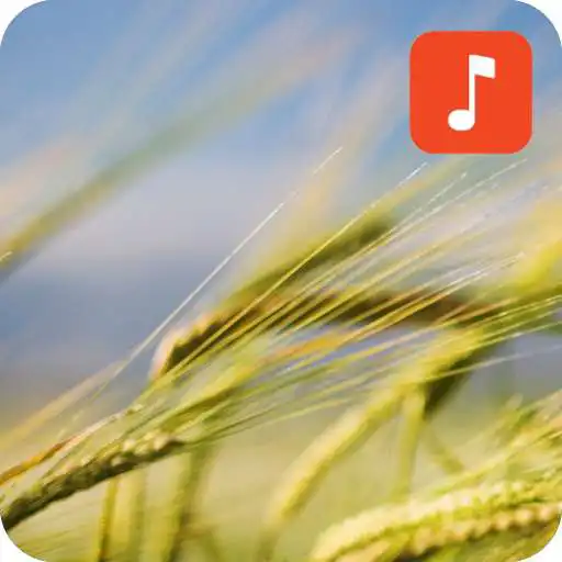 Play Wind Sound Effects APK Play Wind Sound Effects APK