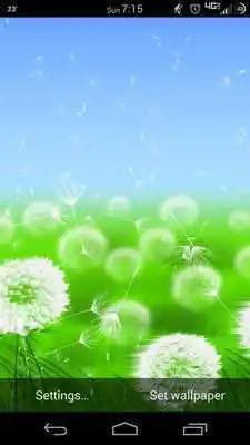 Play Windy Day Lite Live Wallpaper