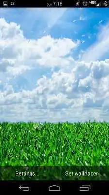 Play Windy Day Lite Live Wallpaper