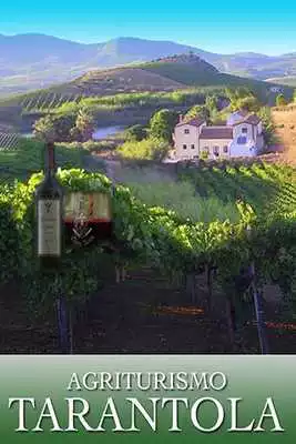 Play WineFarm Agriturismo Tarantola