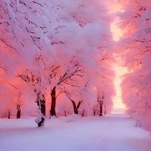 Play winer beauty wallpapers APK