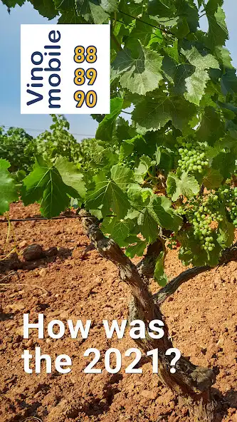 Play Wine Vintages  and enjoy Wine Vintages with UptoPlay