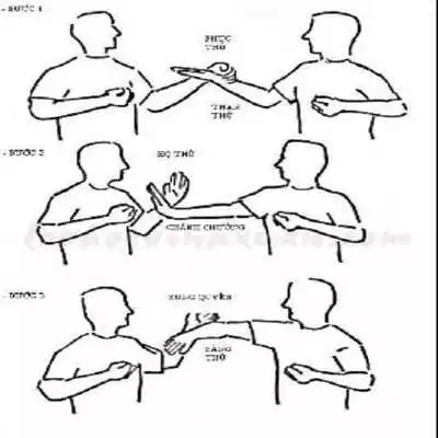 Play Wing Chun Technique Play Wing Chun Technique