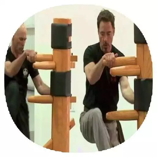 Free play online Wing Chun Techniques APK Free play online Wing Chun Techniques APK