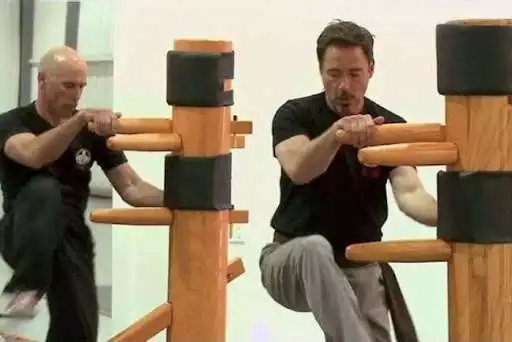 Play Wing Chun Techniques