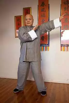 Play Wing Chun Techniques