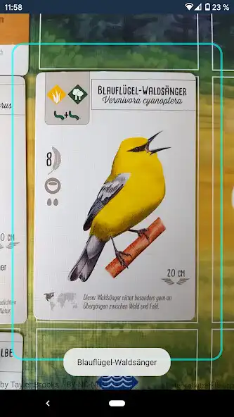 Play Wingsong - Songs of Wingspan  and enjoy Wingsong - Songs of Wingspan with UptoPlay