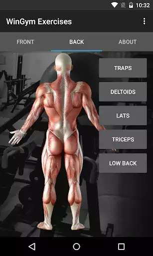 Play WinGym Exercises as an online game WinGym Exercises with UptoPlay