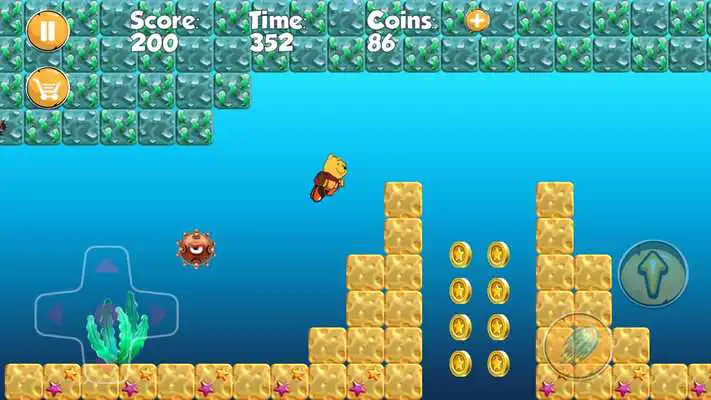 Play Winie Adventure The Pooh