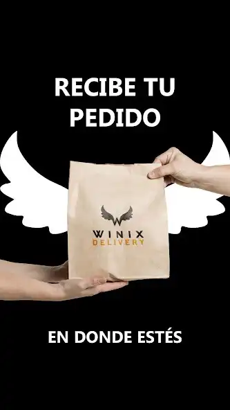 Play Winix Driver as an online game Winix Driver with UptoPlay