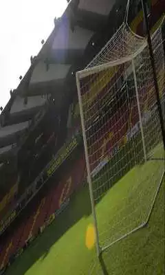 Play Winning Results