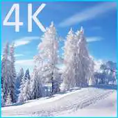 Free play online Winter 4K LWP APK